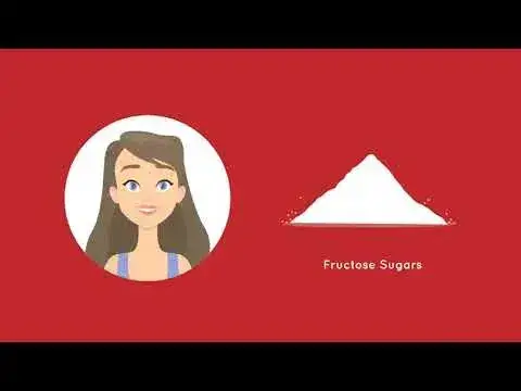 Zymnex Solutions
